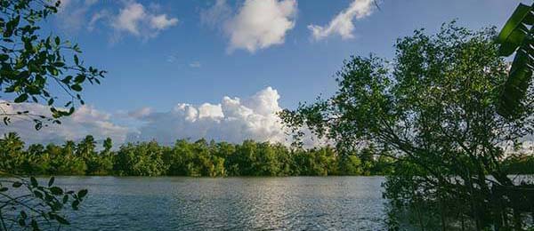 欧乐影院这段越像“已经定了”，越要回到这段话的比较口径一致吗：做法是把评价词移到评论区